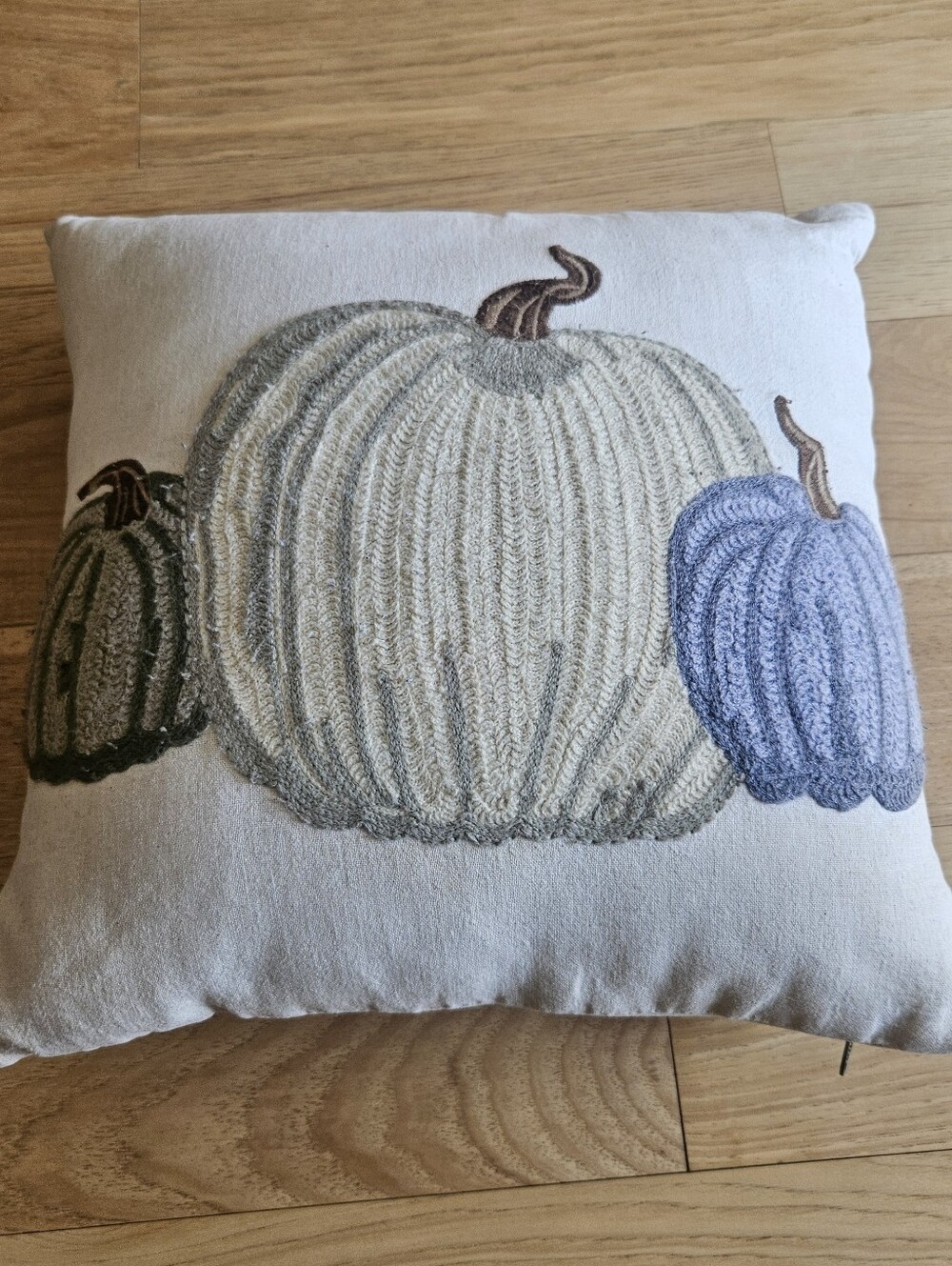 Pier 1 Neutral Cream Pumpkin Trio Embroidered Accent Pillow